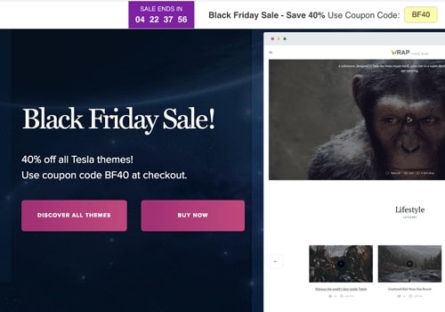 teslatheme sale