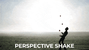 Perspective Shake