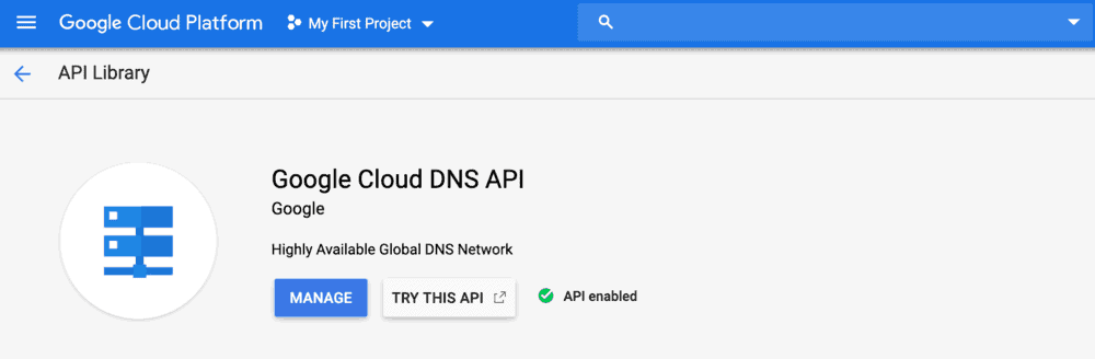 Google cloud dns api enabled